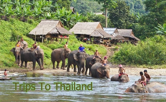 Trips To Thailand 4